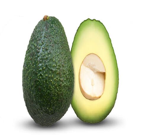 Green Avocado Seeds – Heirloom, Non-GMO, High Germination Organic Garden Seeds