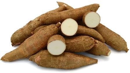 Brown Cassava – Heirloom, Non-GMO, High Germination Organic Garden Seeds Planting