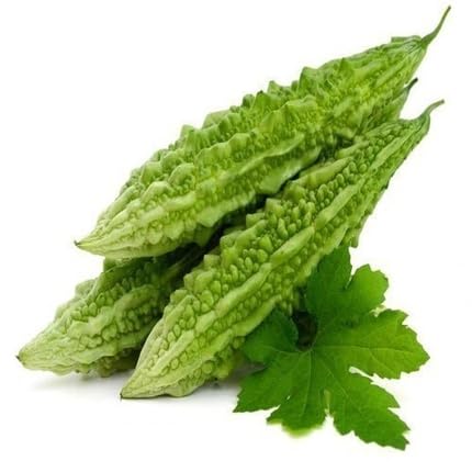 Green Bitter Gourd Seeds – Heirloom, Non-GMO, High Germination Organic Garden Seeds Planting