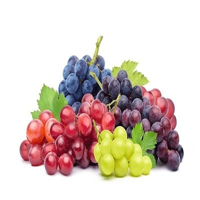 Grape Seeds Mixed Heirloom Non-GMO High Germination Organic Garden Seeds for Planting