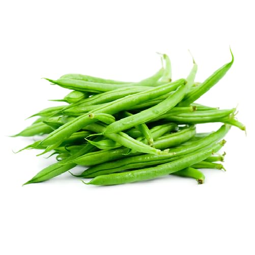 Green Bean Seeds – Heirloom, Non-GMO, High Germination Organic Garden Seeds Planting
