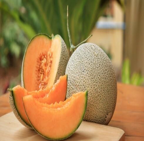 Orange Yubari Melon Seeds – Heirloom, Non-GMO, High Germination Organic Garden Seeds