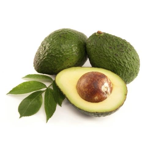 Brown Avocado Seeds – Heirloom, Non-GMO, High Germination Organic Garden Seeds