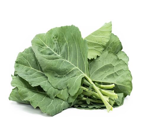 Green Collard Seeds – Heirloom, Non-GMO, High Germination Organic Garden Seeds Planting
