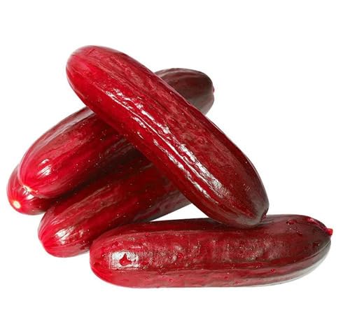 Red Cucumber Seeds – Heirloom, Non-GMO, High Germination Organic Garden Seeds Planting