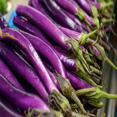 Eggplant Seeds – Heirloom, Non-GMO, High Germination Organic Garden Seeds Planting