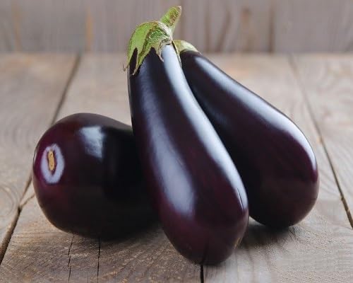 Eggplant Violet Seeds – Heirloom, Non-GMO, High Germination Organic Garden Seeds Planting