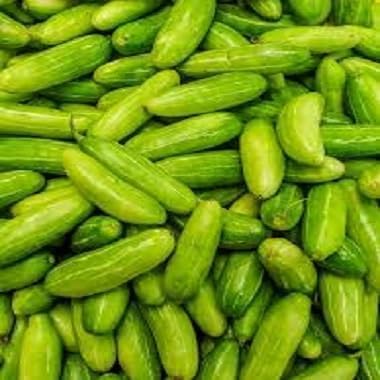 Ivy Gourd Seeds – Heirloom, Non-GMO, High Germination Organic Garden Seeds Planting