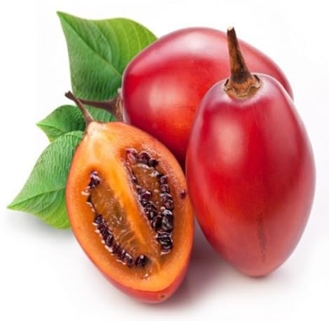 Red Tamarillo Seeds – Heirloom, Non-GMO, High Germination Organic Garden Seeds Planting