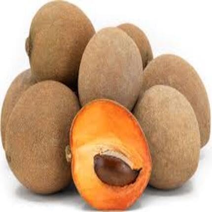 Brown Mamey Seeds – Heirloom, Non-GMO, High Germination Organic Garden Seeds
