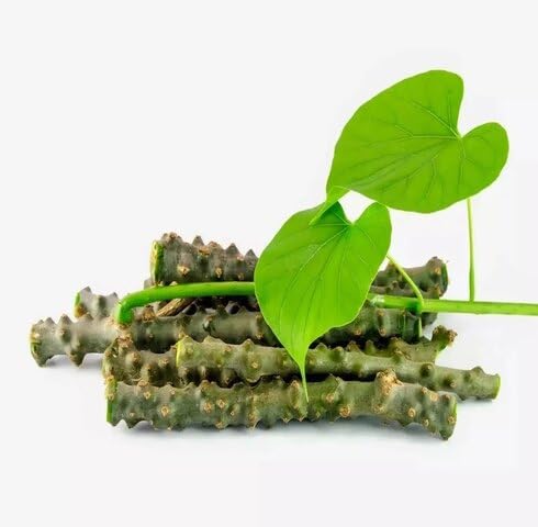 green giloy flower seeds