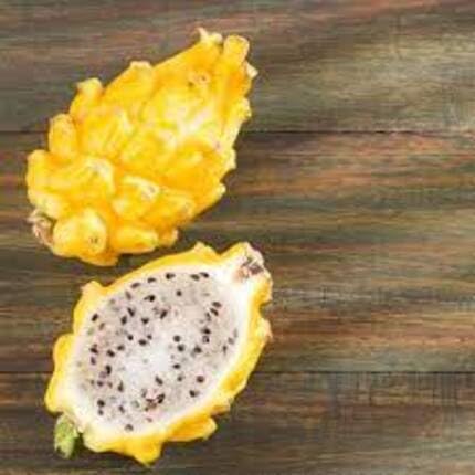 Yellow Dragon Seeds – Heirloom, Non-GMO, High Germination Organic Garden Seeds