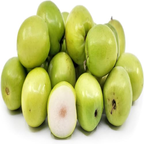 Jujube Seeds – Heirloom, Non-GMO, High Germination Organic Garden Seeds