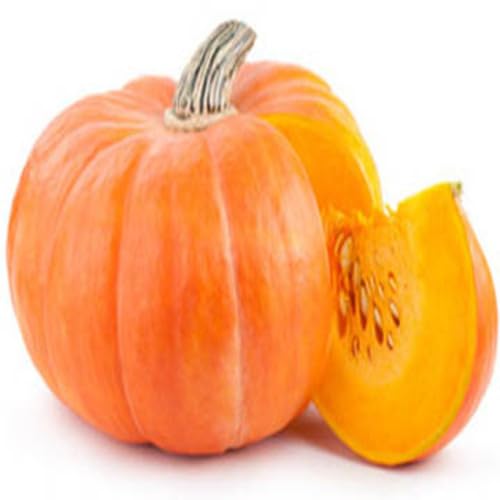 Pumpkin Fruit Seeds – Heirloom, Non-GMO, High Germination Organic Garden Seeds Planting