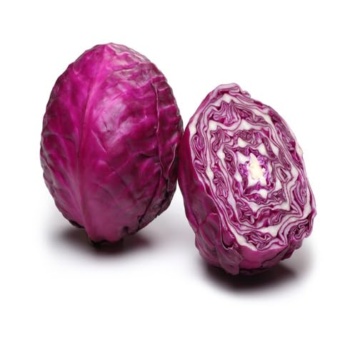 Purple Cabbage Seeds – Heirloom, Non-GMO, High Germination Organic Garden Seeds Planting