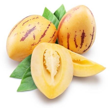 Semillas de Pepino – Ecológicas, No Transgénicas, de Alta Germinación para Huerto Ecológico