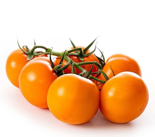 Tomato Orange Seeds – Heirloom, Non-GMO, High Germination Organic Garden Seeds