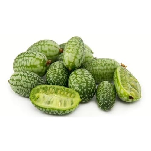 Green Cucamelon Seeds – Heirloom, Non-GMO, High Germination Organic Garden Seeds Planting