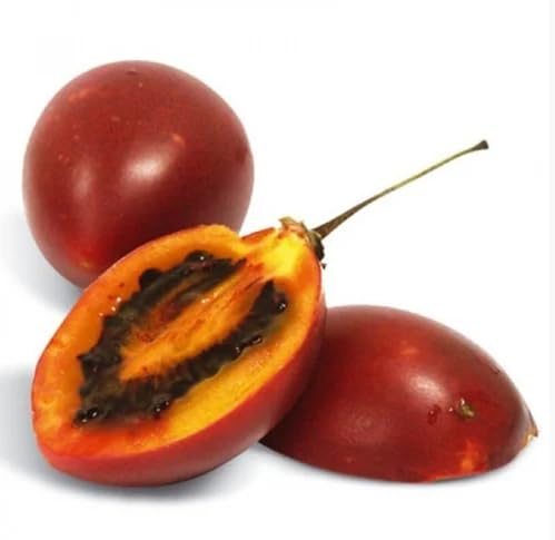 Tamarillo Seeds – Heirloom, Non-GMO, High Germination Organic Garden Seeds Planting