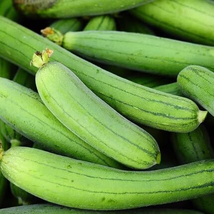 Luffa Gourd Green Seeds – Heirloom, Non-GMO, High Germination Organic Garden Seeds Planting