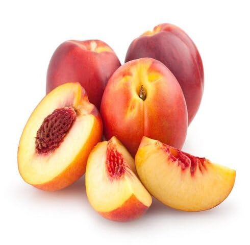 Red Nectarine Seeds – Heirloom, Non-GMO, High Germination Organic Garden Seeds