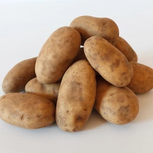 Brown Potato Seeds – Heirloom, Non-GMO, High Germination Organic Garden Seeds Planting