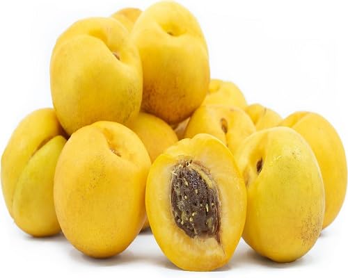 Yellow Nectarine Seeds – Heirloom, Non-GMO, High Germination Organic Garden Seeds