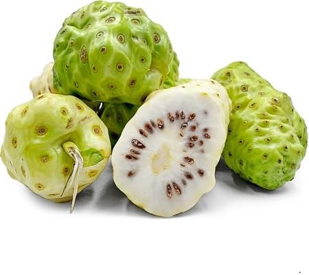 Noni Seeds – Heirloom, Non-GMO, High Germination Organic Garden Seeds
