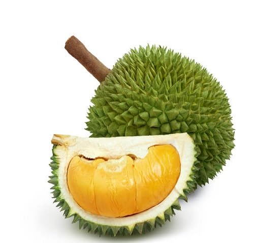 Durian Seeds – Heirloom, Non-GMO, High Germination Organic Garden Seeds