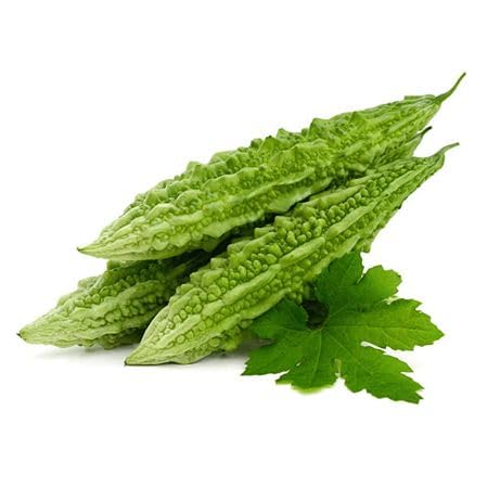 Semillas de melón amargo – Antiguas, sin OMG, alta germinación, siembra de semillas de jardín orgánicas