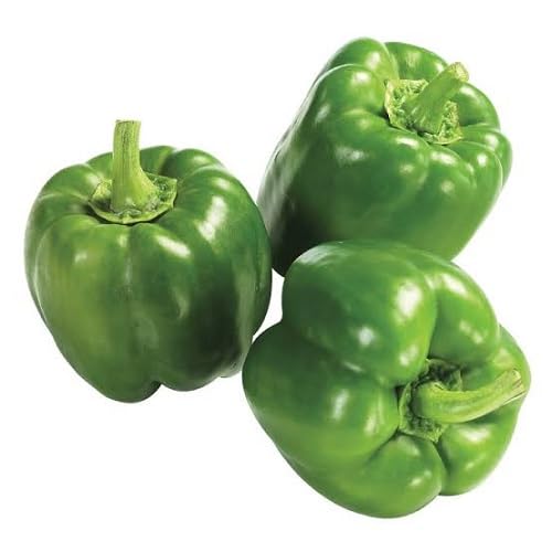 Pepper Green Seeds – Heirloom, Non-GMO, High Germination Organic Garden Seeds Planting