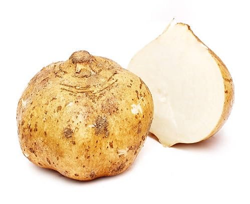 Brown Sicana Seeds Heirloom Non-GMO High Germination Organic Garden Seeds for Planting