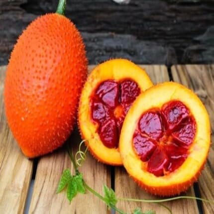 Red Gac Seeds – Heirloom, Non-GMO, High Germination Organic Garden Seeds