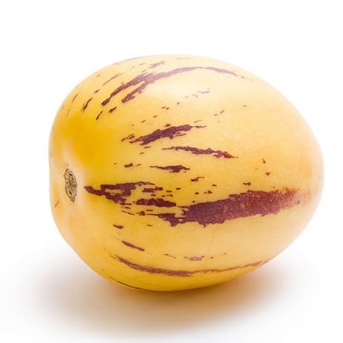 Semillas de Pepino – Ecológicas, No Transgénicas, de Alta Germinación para Huerto Ecológico