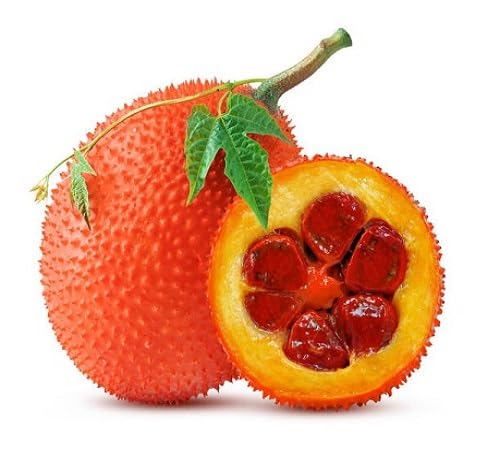Gac Seeds – Heirloom, Non-GMO, High Germination Organic Garden Seeds