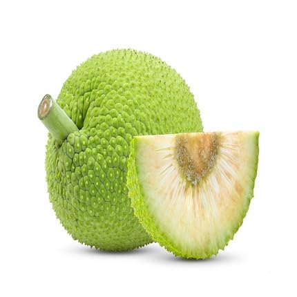Green Breadfruit Seeds – Heirloom, Non-GMO, High Germination Organic Garden Seeds