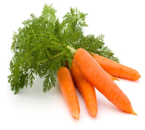 Orange Carrot Seeds – Heirloom, Non-GMO, High Germination Organic Garden Seeds Planting