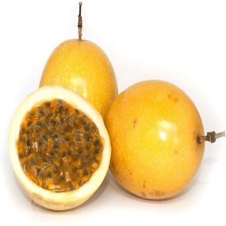 Passion Seeds Yellow Heirloom Non-GMO High Germination Organic Garden Seeds for Planting