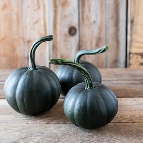Black Pumpkin Seeds – Heirloom, Non-GMO, High Germination Organic Garden Seeds Planting