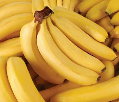 Banana Fruit Seeds – Heirloom, Non-GMO, High Germination Organic Garden Seeds