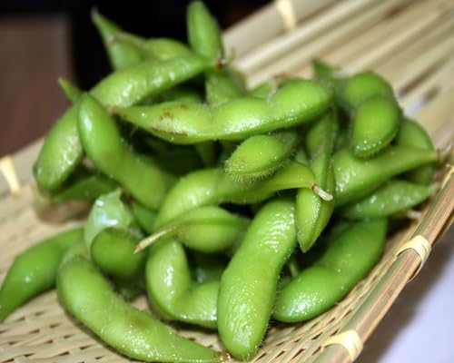 Grüne Edamame-Samen – Alte Sorte, gentechnikfrei, hohe Keimfähigkeit, Bio-Gartensamen zum Pflanzen