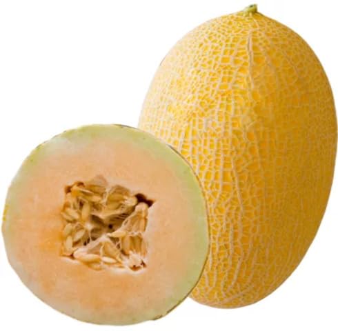 Orange Cantaloupe Seeds – Heirloom, Non-GMO, High Germination Organic Garden Seeds