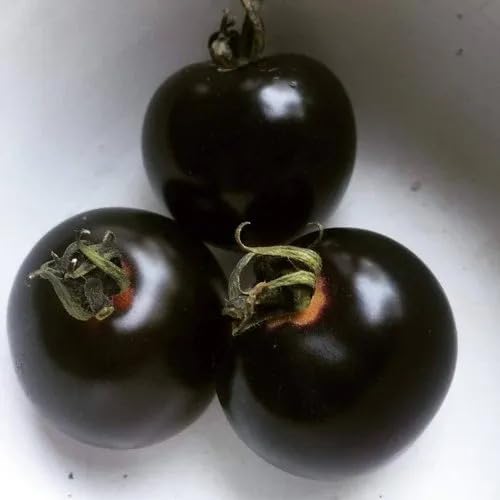 Black Tomato Seeds – Heirloom, Non-GMO, High Germination Organic Garden Seeds Planting