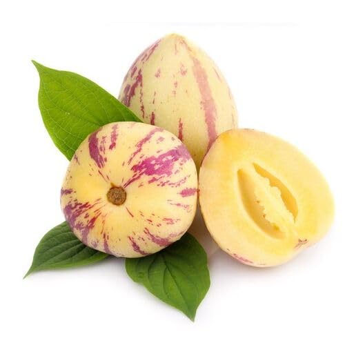 Pink Ginseng Melon Seeds – Heirloom, Non-GMO, High Germination Organic Garden Seeds