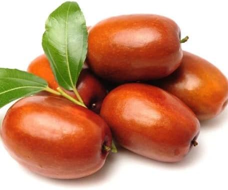 Red Jujube Seeds – Heirloom, Non-GMO, High Germination Organic Garden Seeds