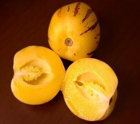 Semillas de Pepino – Ecológicas, No Transgénicas, de Alta Germinación para Huerto Ecológico