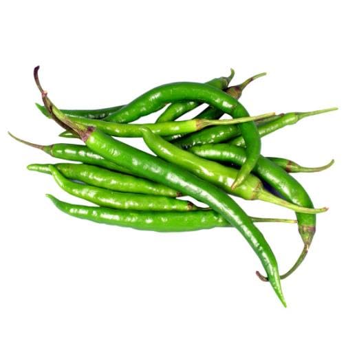 Green Chilli Seeds – Heirloom, Non-GMO, High Germination Organic Garden Seeds Planting