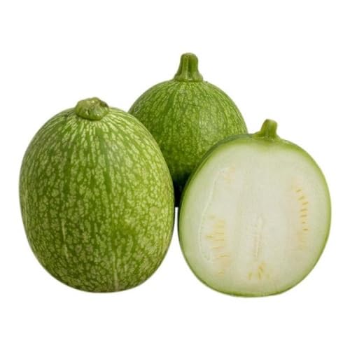 Green Chilacayote Seeds – Heirloom, Non-GMO, High Germination Organic Garden Seeds Planting