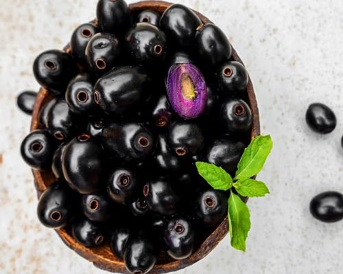 Jamun Seeds – Heirloom, Non-GMO, High Germination Organic Garden Seeds