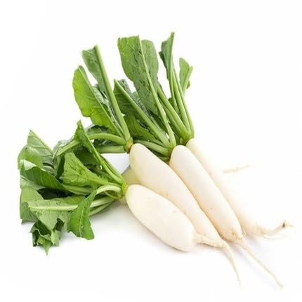 White Radish Seeds – Heirloom, Non-GMO, High Germination Organic Garden Seeds Planting